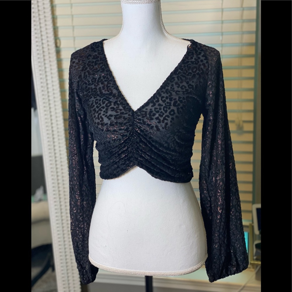 Gorgeous Zara show stopper top